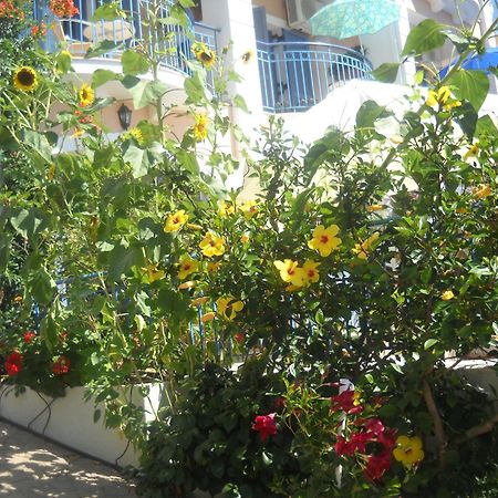 Olive Bay Hotel Agia Efimia Esterno foto